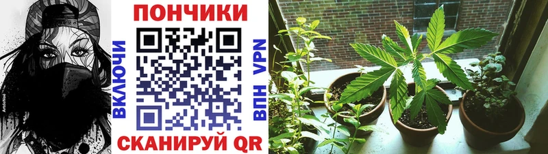 Марихуана White Widow  где можно купить наркотик  кракен маркетплейс  Шилка 